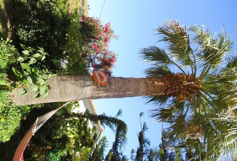 Villa Xenos Studios & Apartments