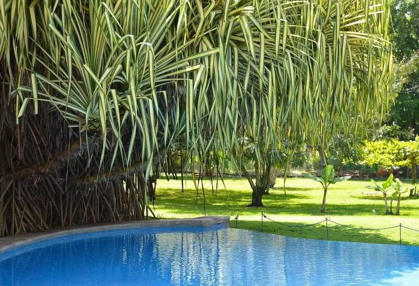 ホテル Hacienda Jj