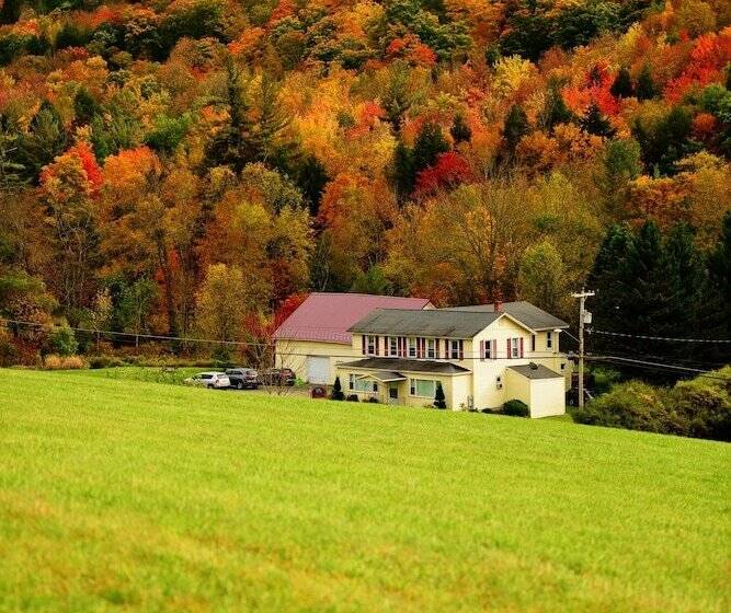 Mountain Treasure Bed And Breakfast