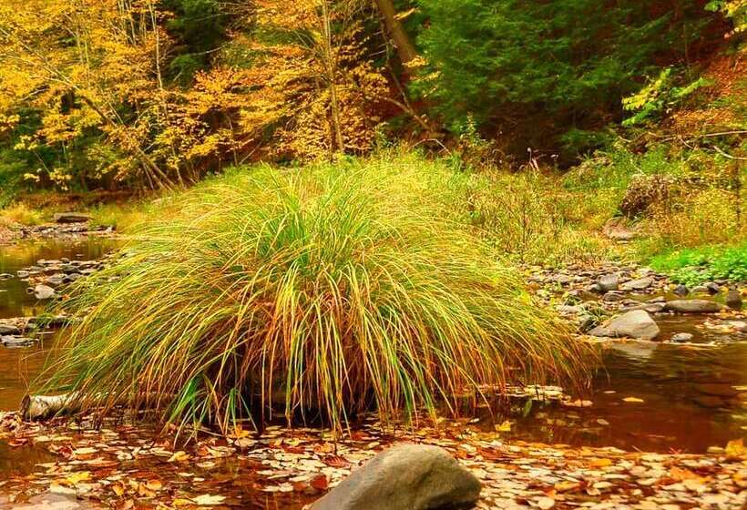 Mountain Treasure Bed And Breakfast