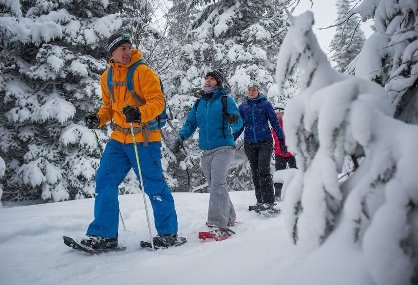 Oasis Tremblant Sunstar