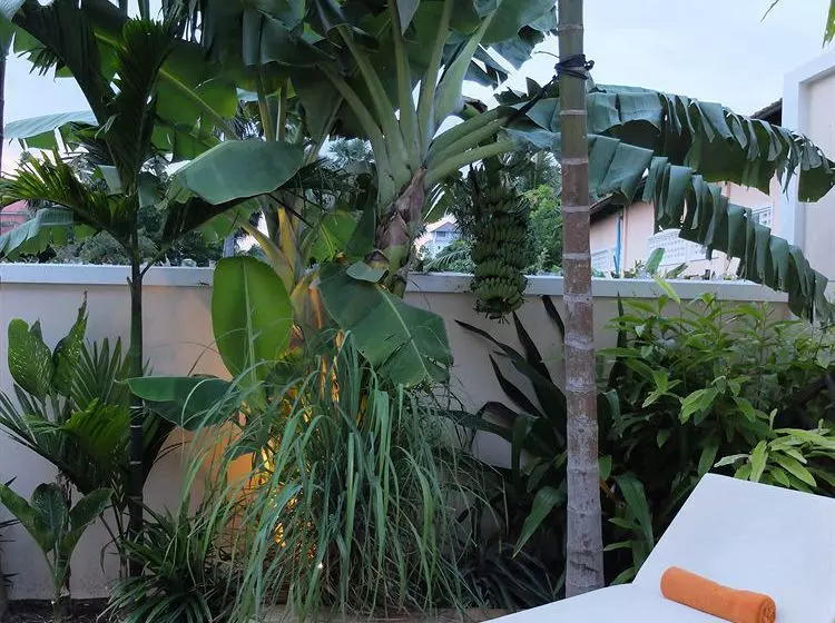 The Rose Apple Boutique Bed & Breakfast