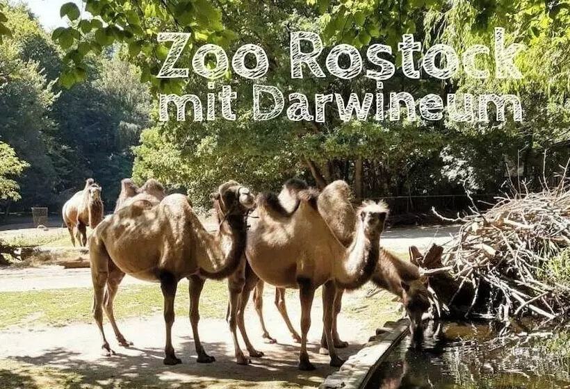 ベッドアンドブレックファースト Am Kai 334