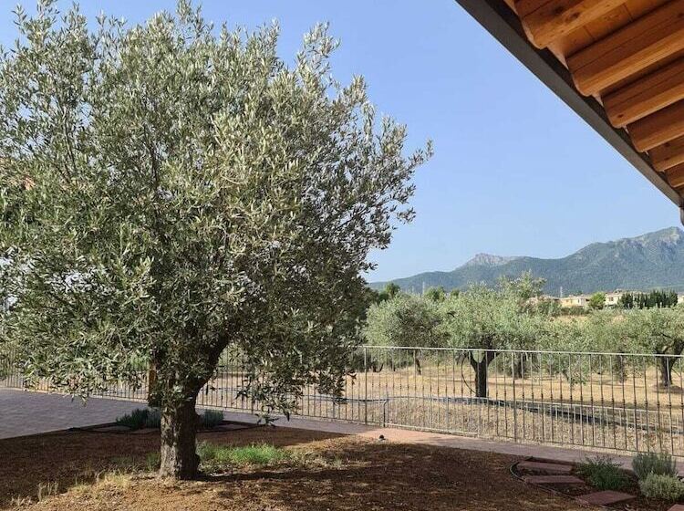 Hotel wiejski Agriturismo Corte Degli Ulivi