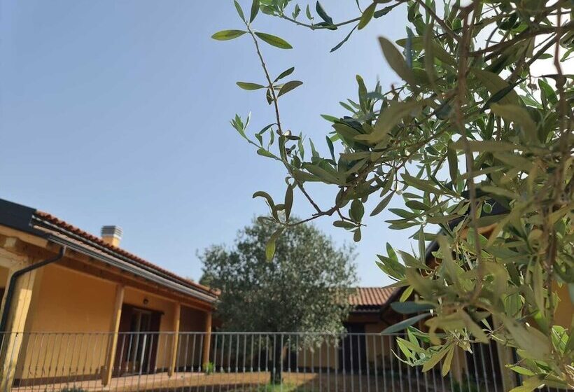 Hotel wiejski Agriturismo Corte Degli Ulivi