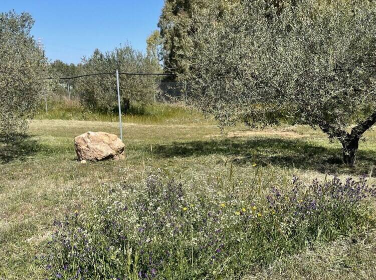 Hotel wiejski Agriturismo Corte Degli Ulivi