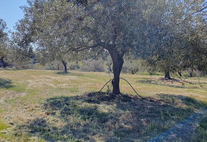 Hotel wiejski Agriturismo Corte Degli Ulivi