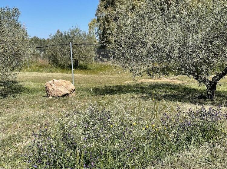 Hotel wiejski Agriturismo Corte Degli Ulivi