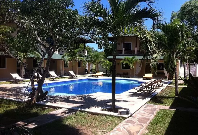 هتل African Sun Resort