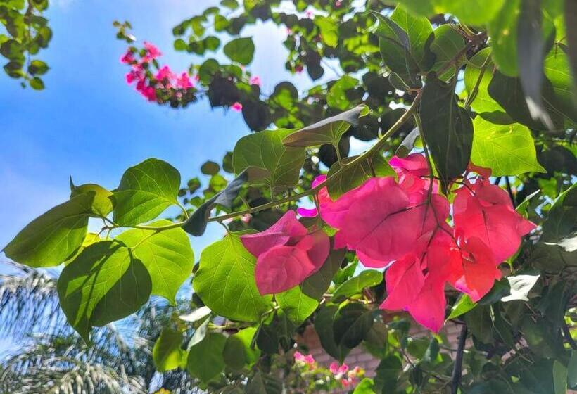 فندق Pousada Galeria Artes