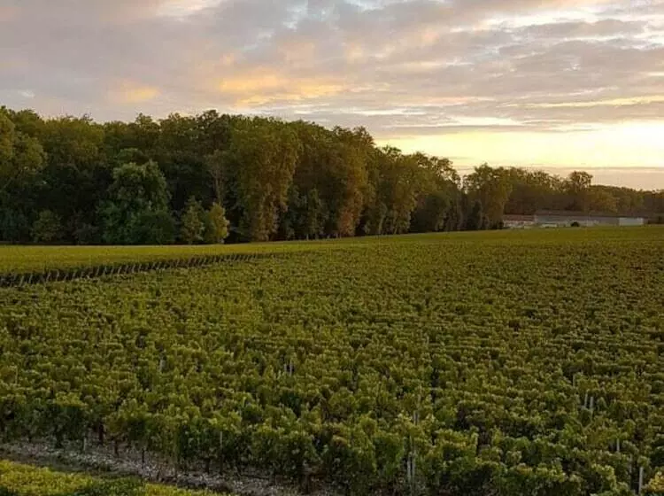 Hotelli Château Marojallia