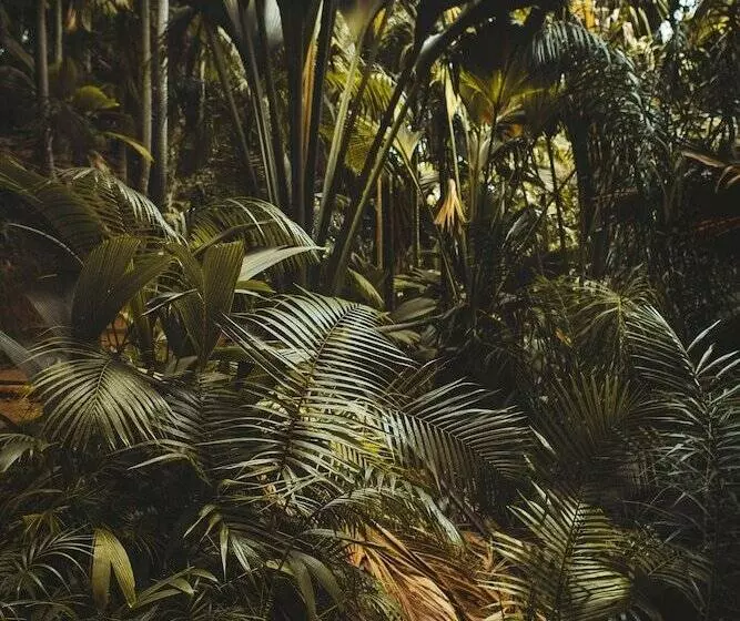 Radisson Hotel Saint Denis, La Reunion