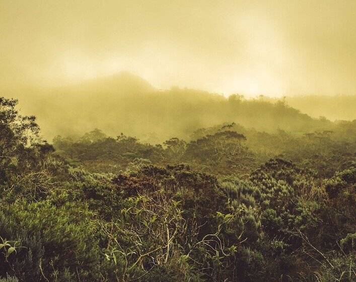 Radisson Hotel Saint Denis, La Reunion
