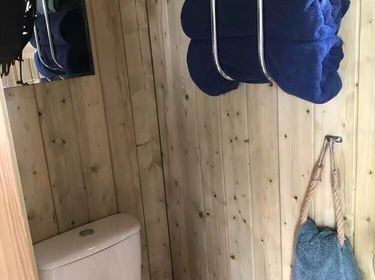 The Peacock Shepherds Hut At Hafoty Boeth