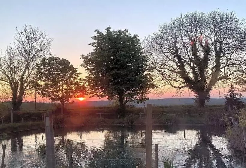 Woodland Camping Pod With Use Of Campsite Bathroom
