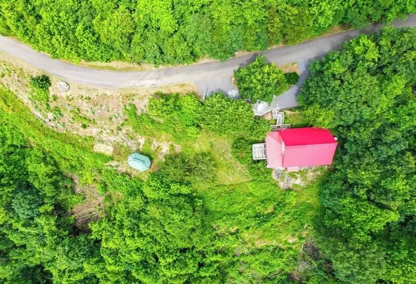 Warm & Cozy Cabin W/ Deck On Top Of The Blue Ridge