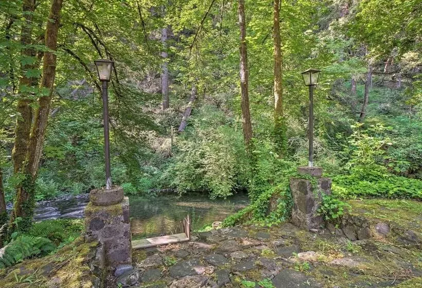 Outdoor Adventure: Tranquil Creekside Retreat