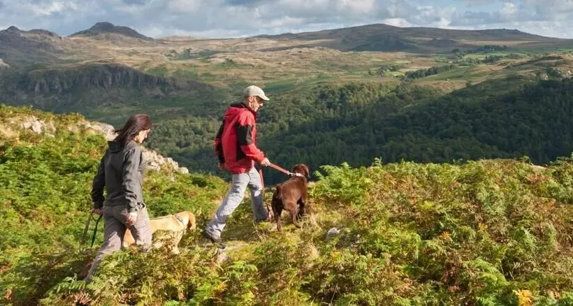 簡易ホテル Waterfall Country Escape