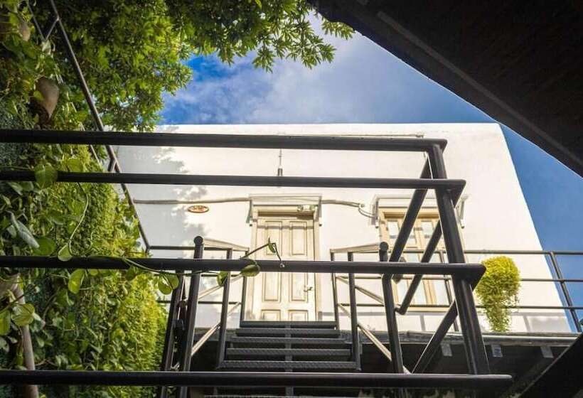 Hostel Boutique Musa Paradisiaca