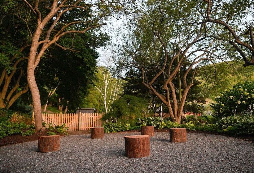 בית מלון כפרי Little Cat Lodge