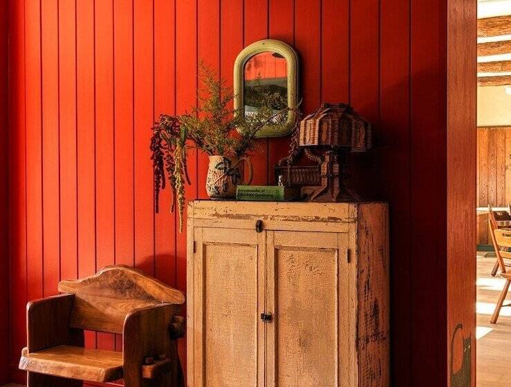 בית מלון כפרי Little Cat Lodge