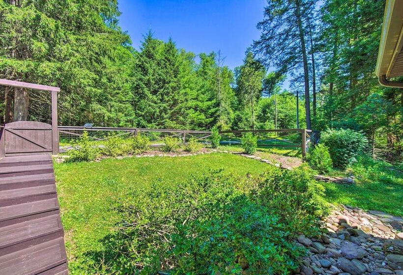Eaglesview On The Loyalsock Creekside Cabin