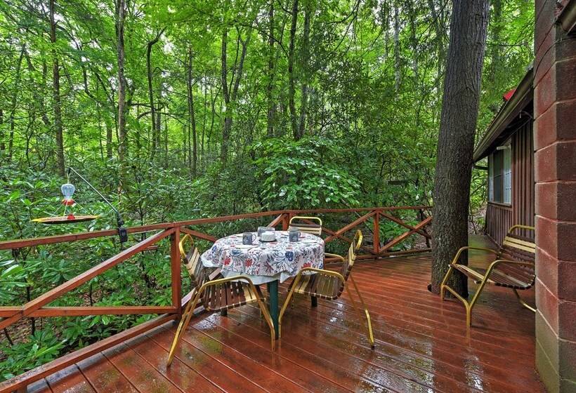 Serene Creekside Cottage Near Mount Pisgah!