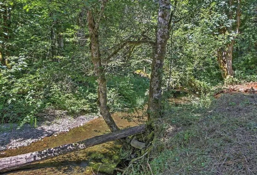 Right Arm Ranch  Family Cabin In Port Angeles!