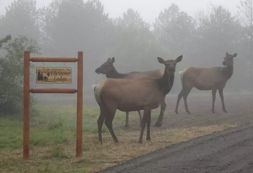 Rustic Benezette Cabin: Porch, Hot Tub & Fire Pit