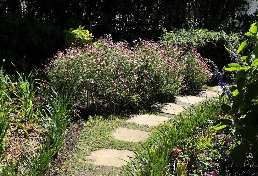 민박 Alba House Guest House