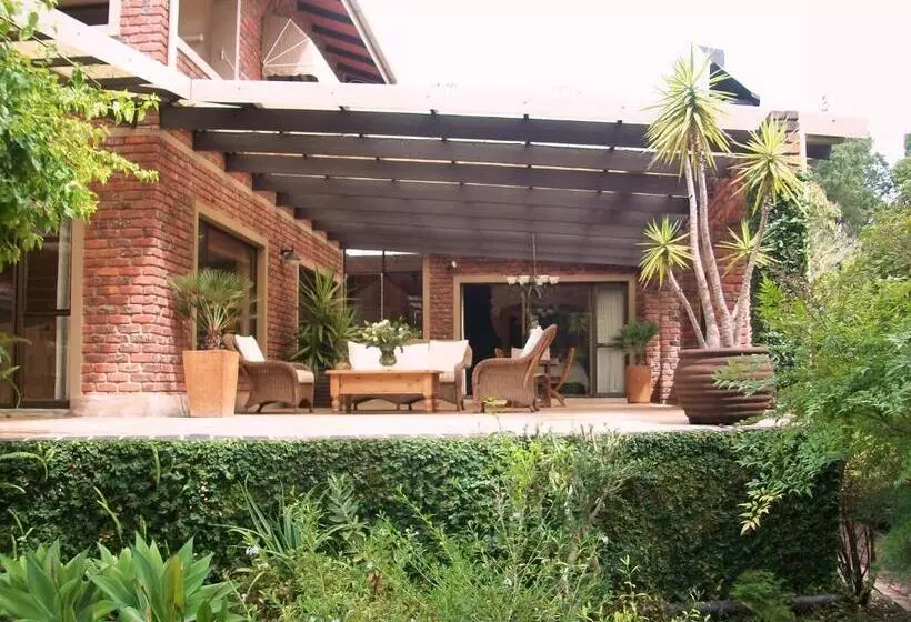 ホテル Aziza Guesthouse