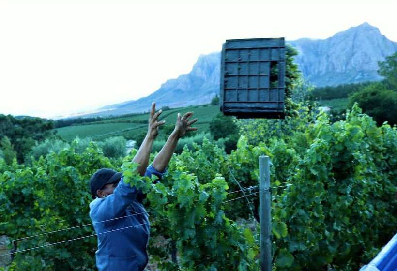 Отель Clouds Estate