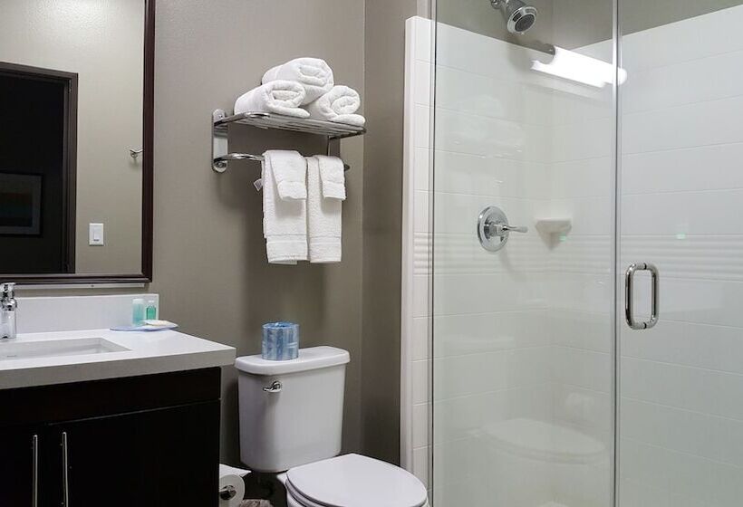 فندق Mainstay Suites Midland