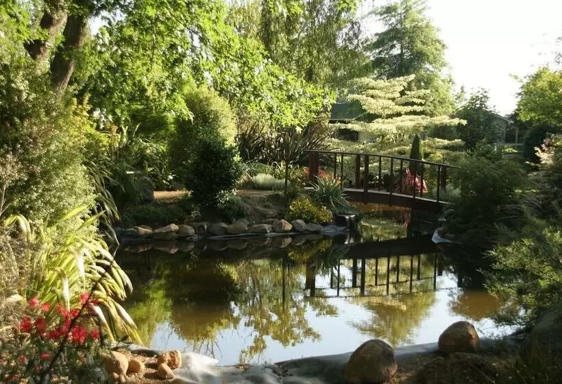 ホテル Somersal Bed & Breakfast