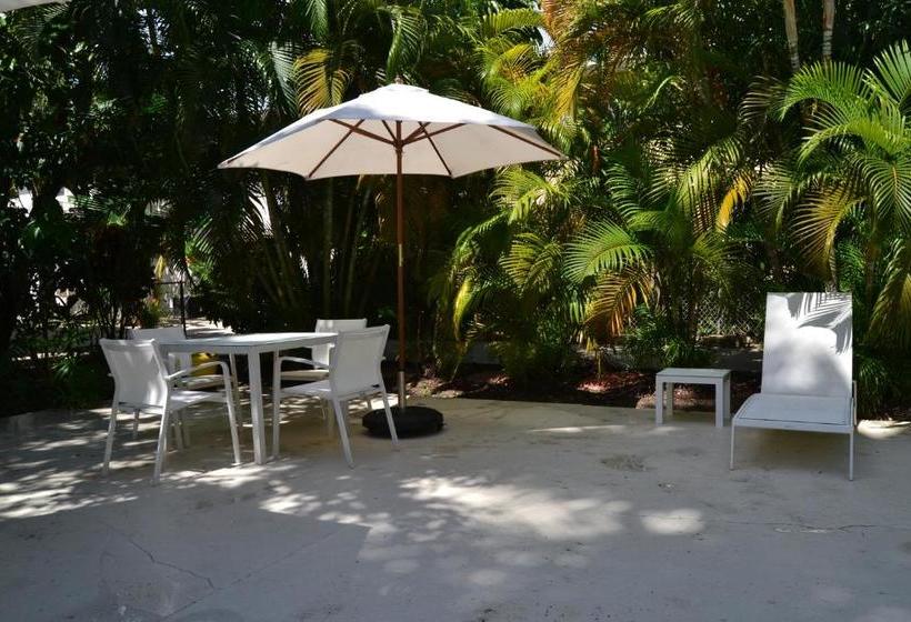 فندق The Reef A North Beach Village Resort