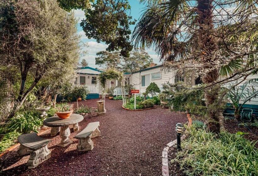 بنسيون Genesta House