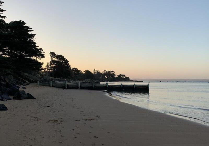 بنسيون Genesta House