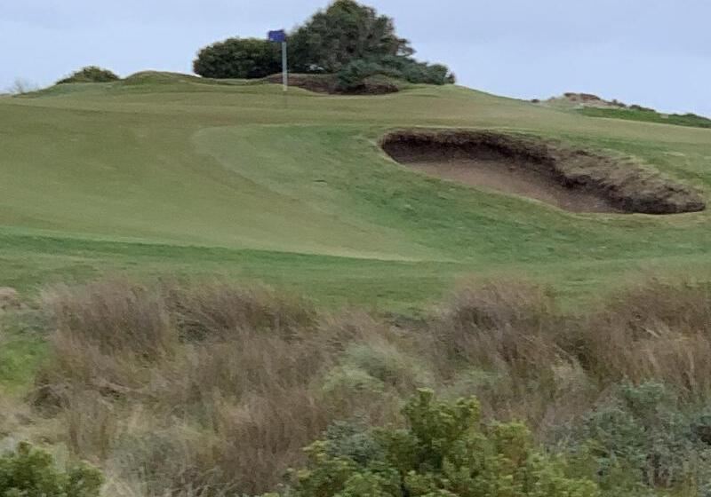 بنسيون Genesta House