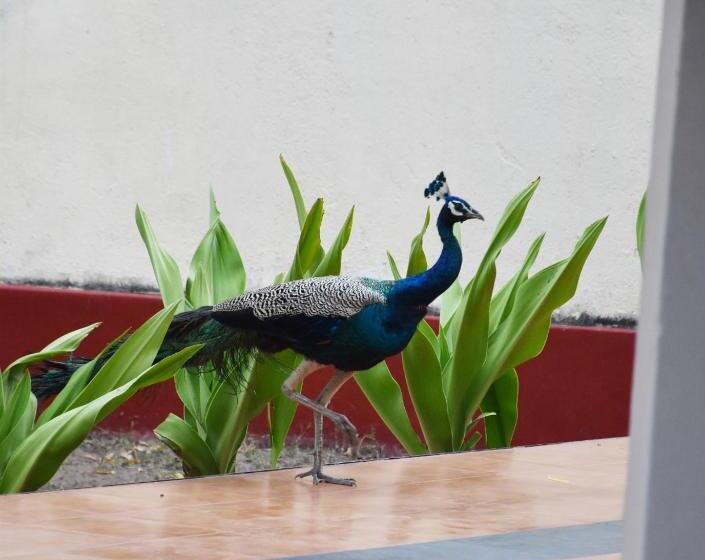 펜션 Secret Escape Nilaveli Ayurveda Hotel & Spa