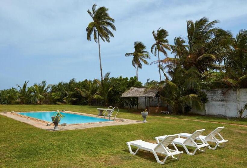 Пансион Villa Sunbird