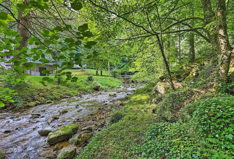 Peaceful Roan Mountain Escape: On Site Creek!