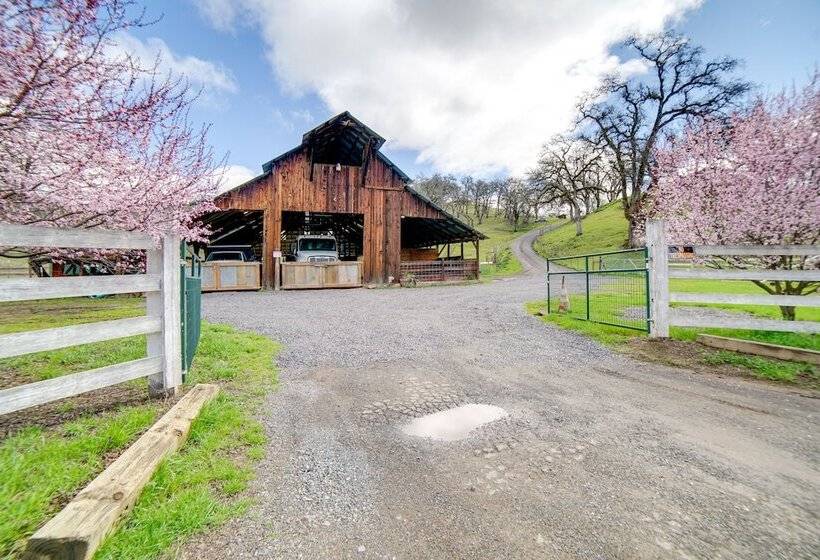 30 Acre Witter Springs Ranch W/ Barn & Views!