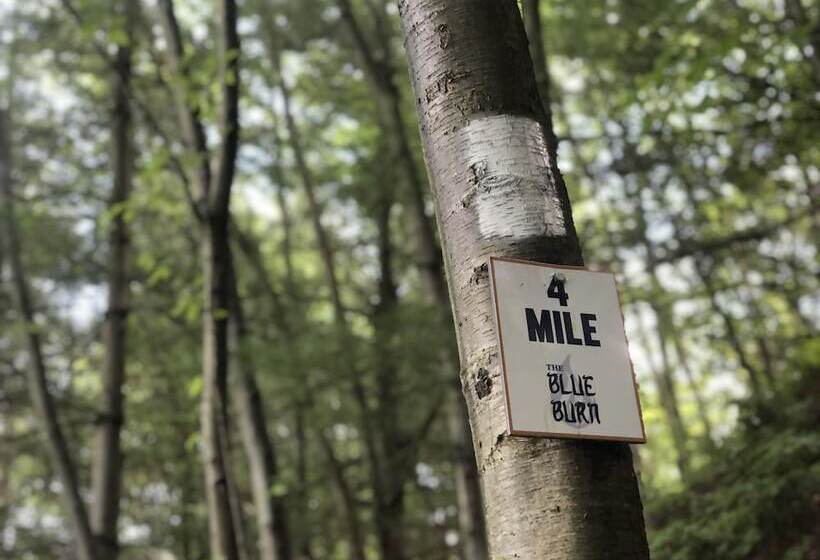 Blue Mountain Resort