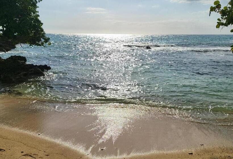 هتل Southsea Park Retirement Resort