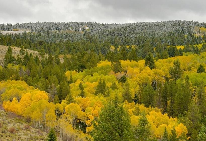 Luxe Lodge In The Tetons For Large Group Retreats!