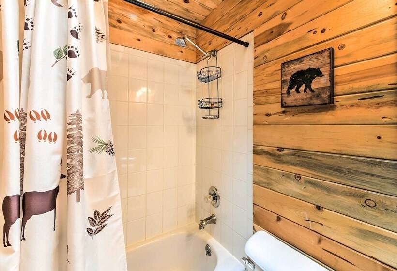 Bobcat Trail Cabin On 3 Acres In Como!