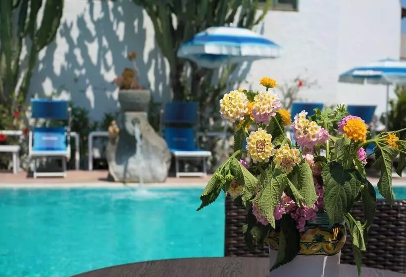 Room In B&b Forio With A Breathtaking View, For 2 Persons