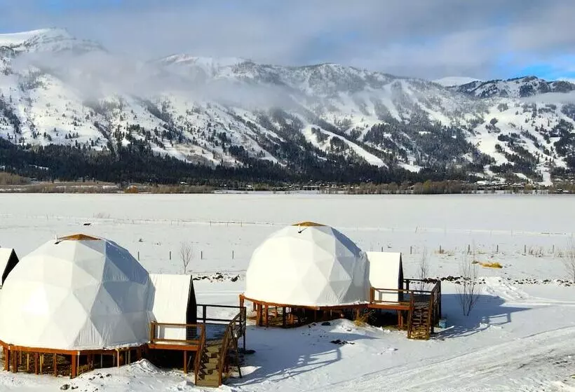Tammah Jackson Hole