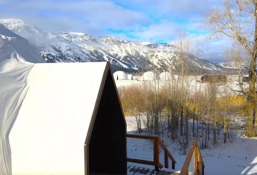 Tammah Jackson Hole