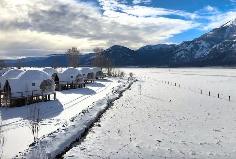Tammah Jackson Hole